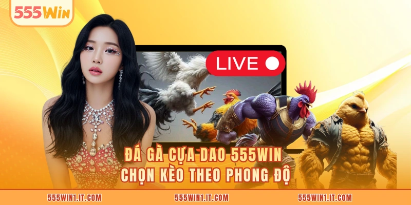 Đá gà cựa dao 555WIN chọn kèo theo phong độ