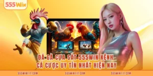 Đá Gà Cựa Sắt 555WIN